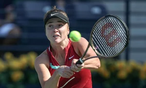 elina svitolina jpg