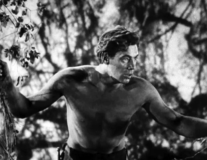 Johnny Weissmuller FOTO Wikipedia