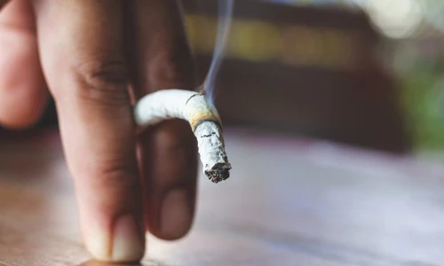 1 shutterstock 1376602334 jpg jpeg