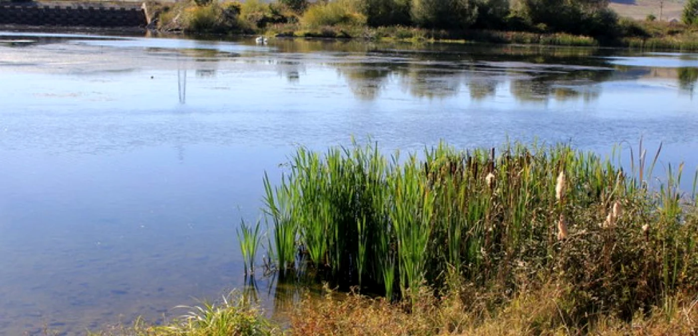 Delta de la Bretea Română. FOTO: Daniel Guţă. ADEVĂRUL.