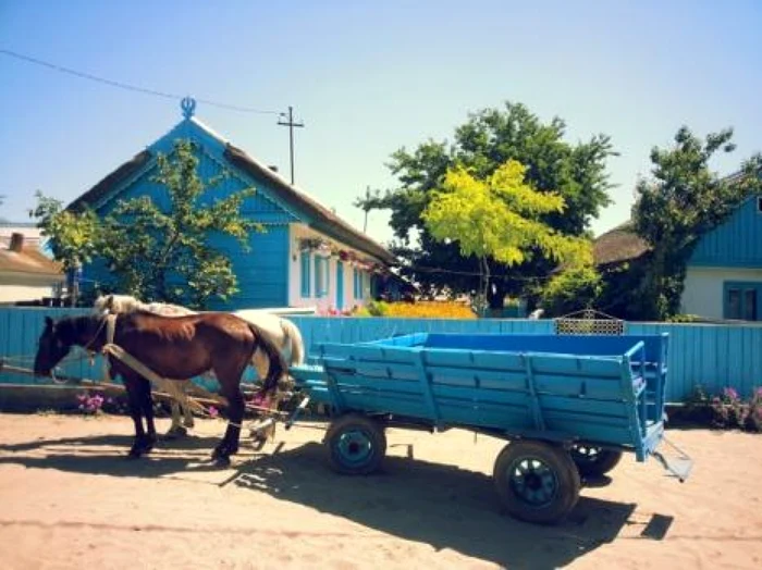 Casă de poveste din Delta Dunării FOTO Ecopolis