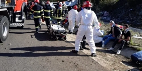 accident microbuz alba