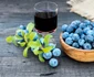 afinata shutterstock 1163799046 jpg