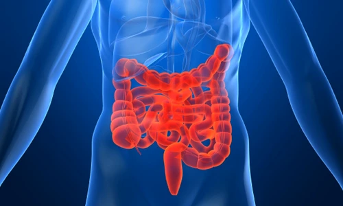 colon iritabil simptome jpg jpeg