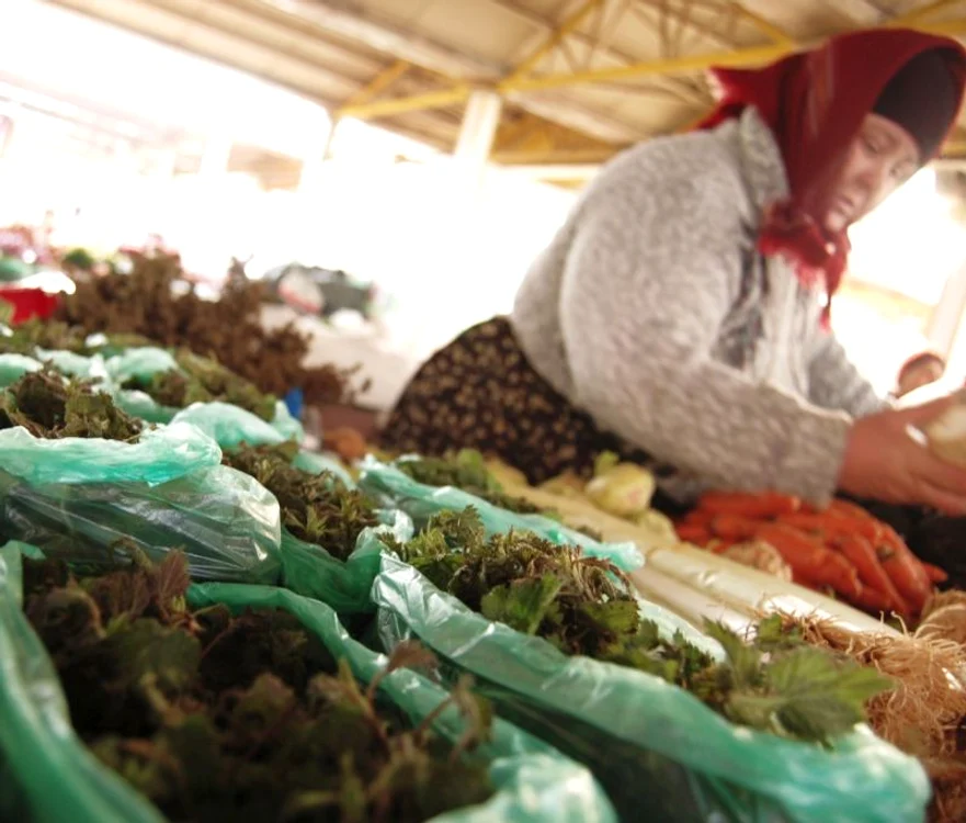 Urzicile sunt plante medicinale şi comestibile cu efecte deosebite asupra organismului. (Foto: Click!)