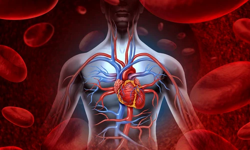 Cum te afectează poluarea jpeg