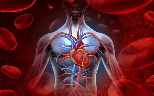 Cum te afectează poluarea jpeg