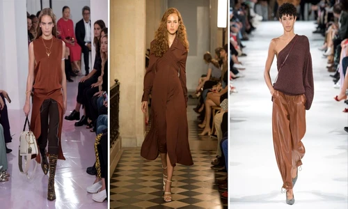 Maro ciocolatiu  jpeg