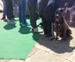 Expoziţie chinologică la Timişoara 2016 FOTO Ştefan Both