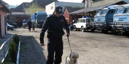 Jandarmii bistriţeni l-au convis pe tânăr să se întoarcă la spital