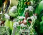 Carnavalul de la Rio. FOTO EPA-EFE