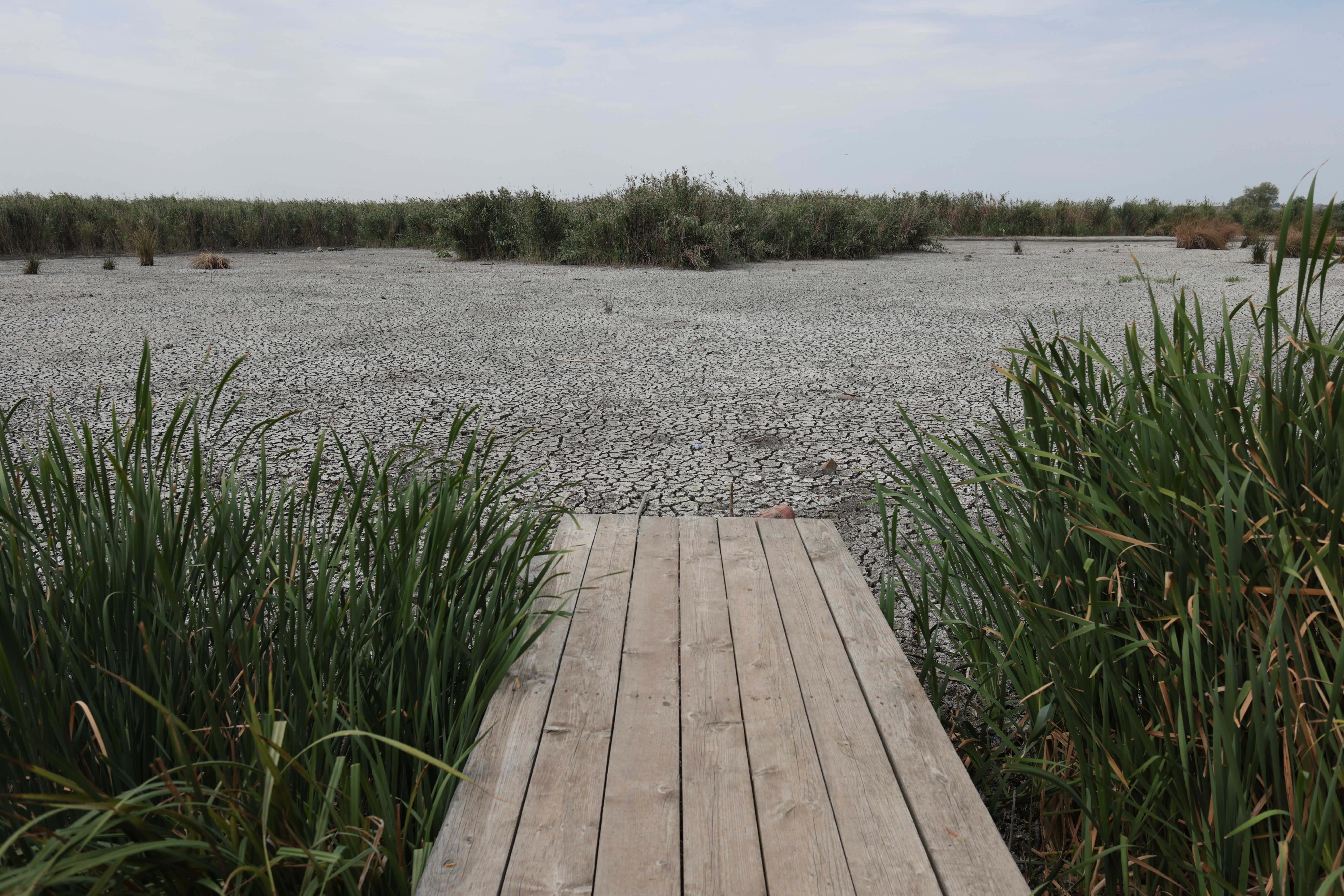 Peisaje apocaliptice în Delta Neajlovului FOTO INQUAM Photos Georghe Călin