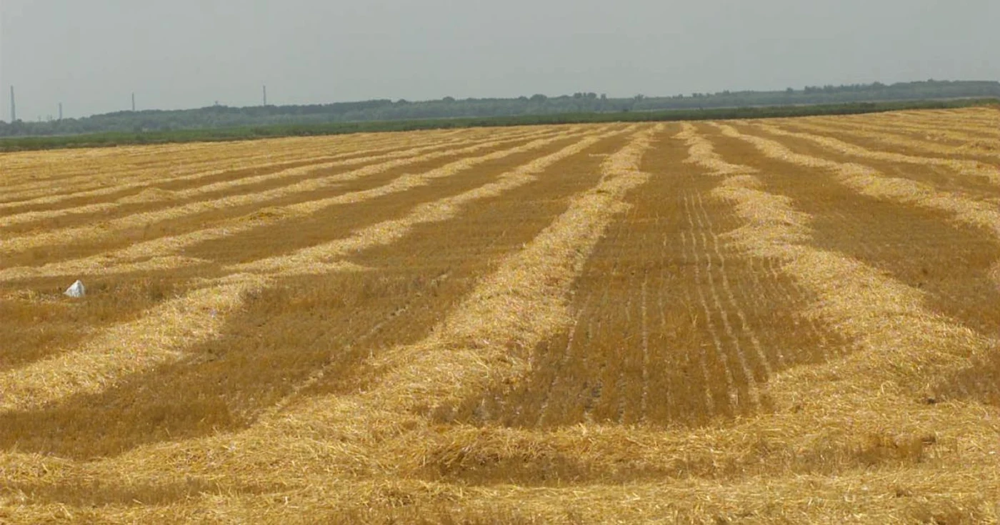 Străinii deţin deja aproape 800.000 de hectare de terenuri agricole în România