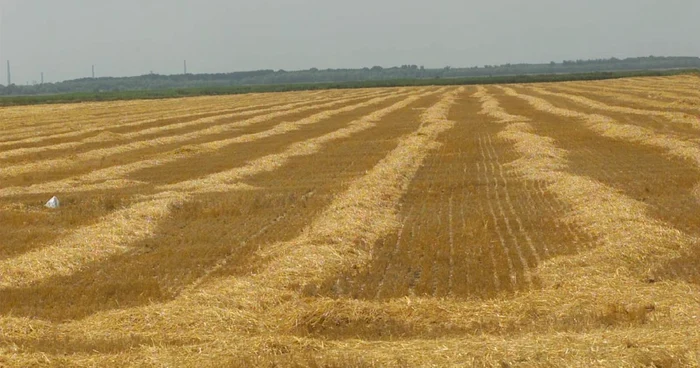 Străinii deţin deja aproape 800.000 de hectare de terenuri agricole în România