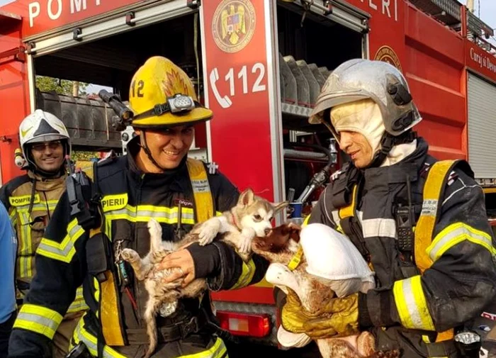 Pompierii au avut o misune grea de îndeplinit noaptea trecutăfoto: ISU Bucureşti-Ilfov