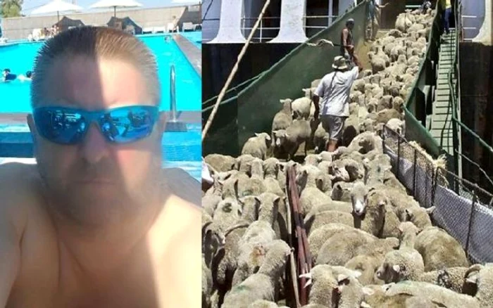 Controlorul vamal Radu Ioan Hristovici a fost trimis în judecată pentru luare de mită ca să urgenteze plecarea din port a vaselor încărcate cu animale vii FOTO Arhivă personală