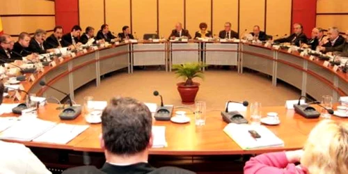 Mihai Cojocariu și Georgică Ștefan au fost consilieri județeni în mandatul 2008-2012