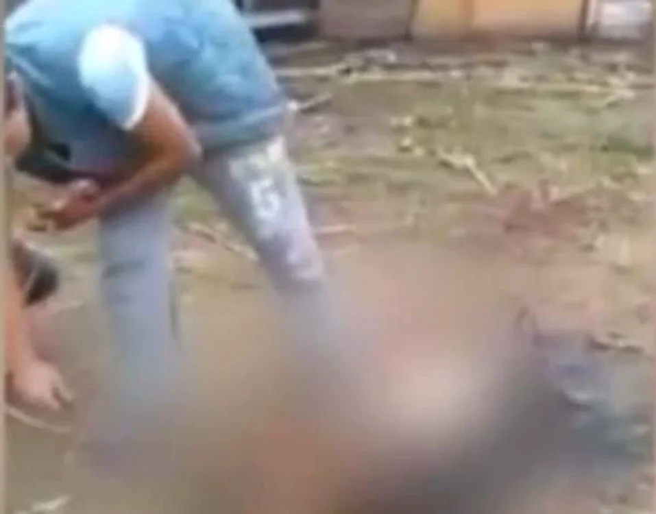 
    Bărbatul s-a apucat să pârlească porcul, deşi acesta era încă în viaţă foto: captură video  