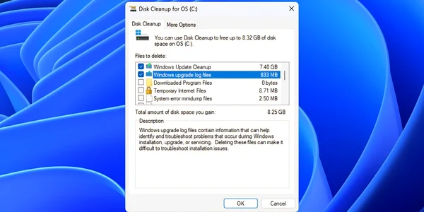 Disk Cleanup Windows Update Cleanup files și Windows upgrade log files jpg