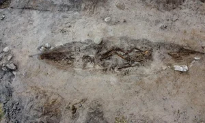 O femeie din epoca vikingilor, îngropată alături de câinele ei într-un „mormânt-barcă” elaborat (©  The Arctic University Museum of Norway)