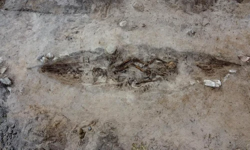 O femeie din epoca vikingilor, îngropată alături de câinele ei într-un „mormânt-barcă” elaborat (©  The Arctic University Museum of Norway)