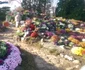 Flori de toamnă în Grădina Botanică Iaşi