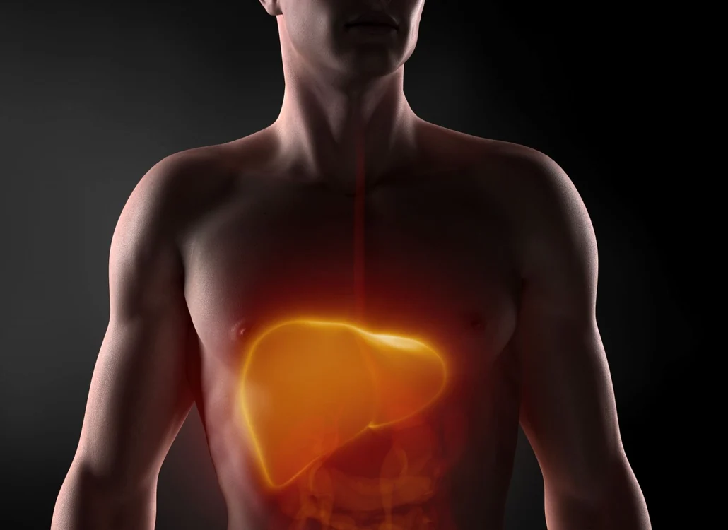 Virusul hepatitic B