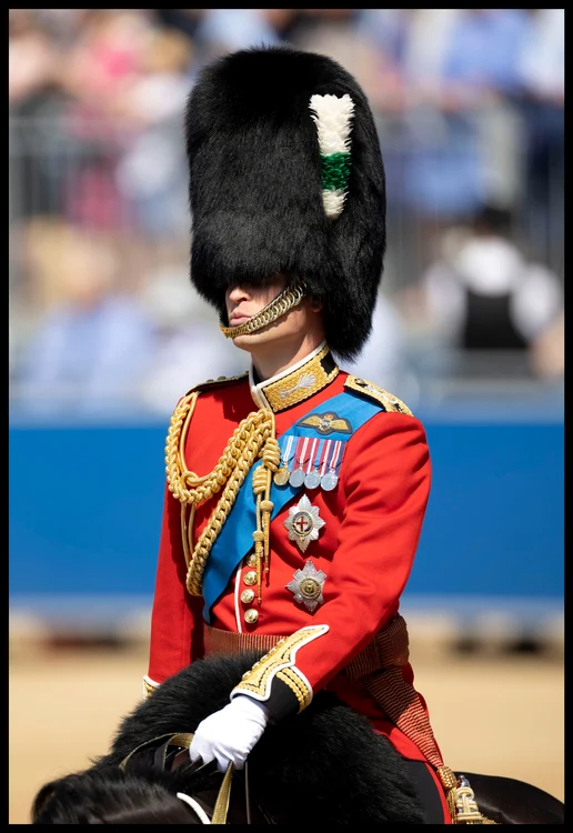 Prințul William, repetiții pentru Trooping the colour, Profimedia (3) jpg