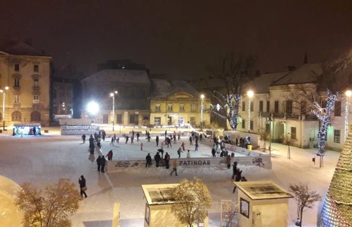 Prima ninsoare din 2019. Timişoara a îmbrăcat din nou haine albe FOTO Ş.Both