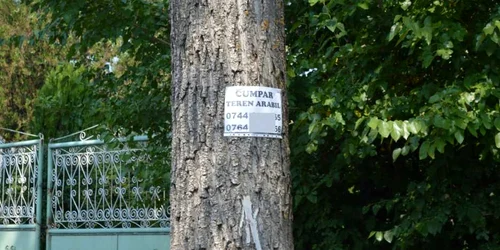 anunt cumparare teren
