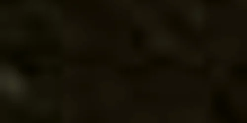 masini avariae 2 jpeg