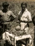 orlando and the remains of percy fawcett webp