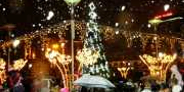 Bradul de Crăciun va fi amplasat în Parcul Cancicov