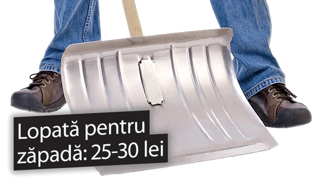 Lopată pentru zăpadă: 25-30 lei
