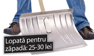 Lopată pentru  zăpadă: 25 30 lei jpeg