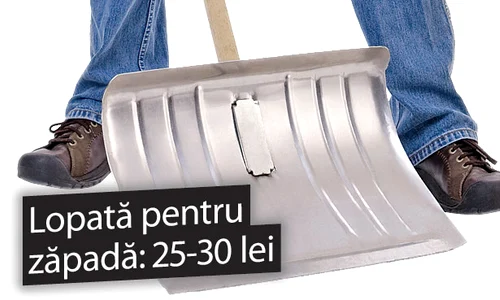 Lopată pentru  zăpadă: 25 30 lei jpeg
