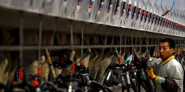 fonterra botulism noua zeelanda china reuters