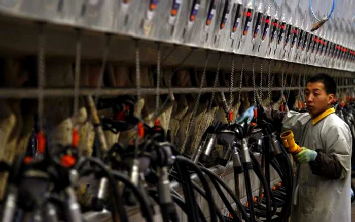 Compania neozeelandeză Fonterra are mai multe fabrici în China. FOTO: Reuters