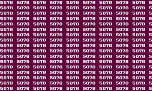 1 You have eyes like a hawk if you can find hidden number 5878 in baffling brain teaser webp