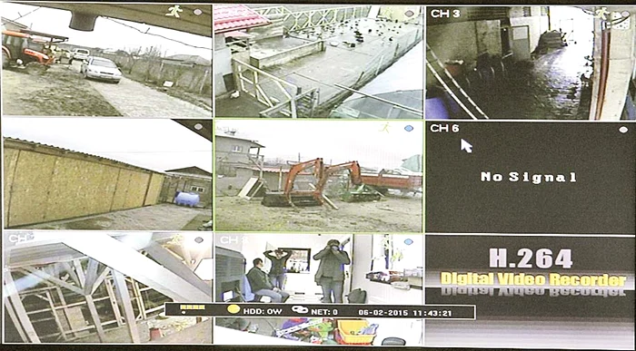 Fermierul supraveghează păsările cu camere video