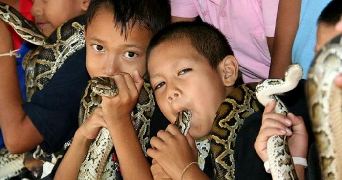 Şerpii sunt jucării pentru copiii din acest sat FOTO Odditycentral.com