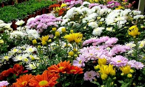 1 61880 original jpg jpeg