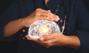 shutterstock 2043823142 jpg