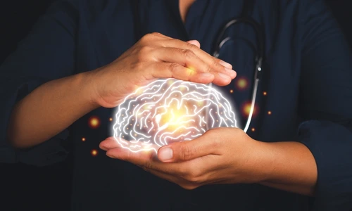 shutterstock 2043823142 jpg