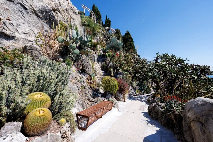 Charlene și Albert la redeschiderea grădinii exotice Monaco 17 jpg