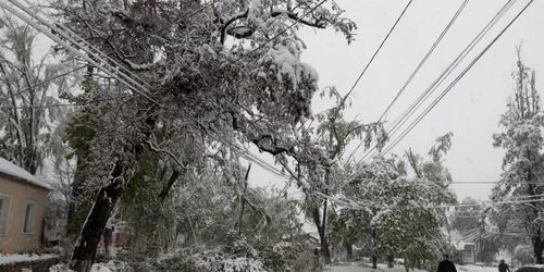 ninsori chisinau foto victor ciobanu via facebook