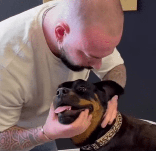 Reacția unui câine rotweiller când chiropracticianul îi trosnește gâtul VIDEO