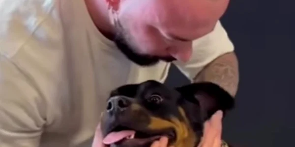 Reacția unui câine rotweiller când chiropracticianul îi trosnește gâtul. Foto: Captură video Instagram