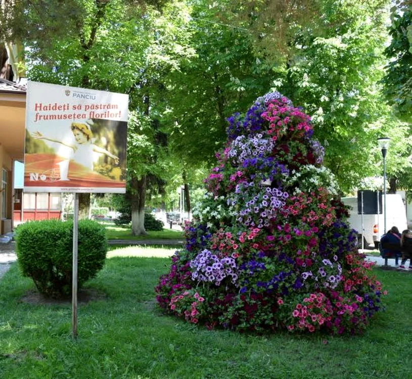 flori 