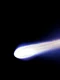 Cometa Halley apare pe cer odată la 76 de ani  jpeg